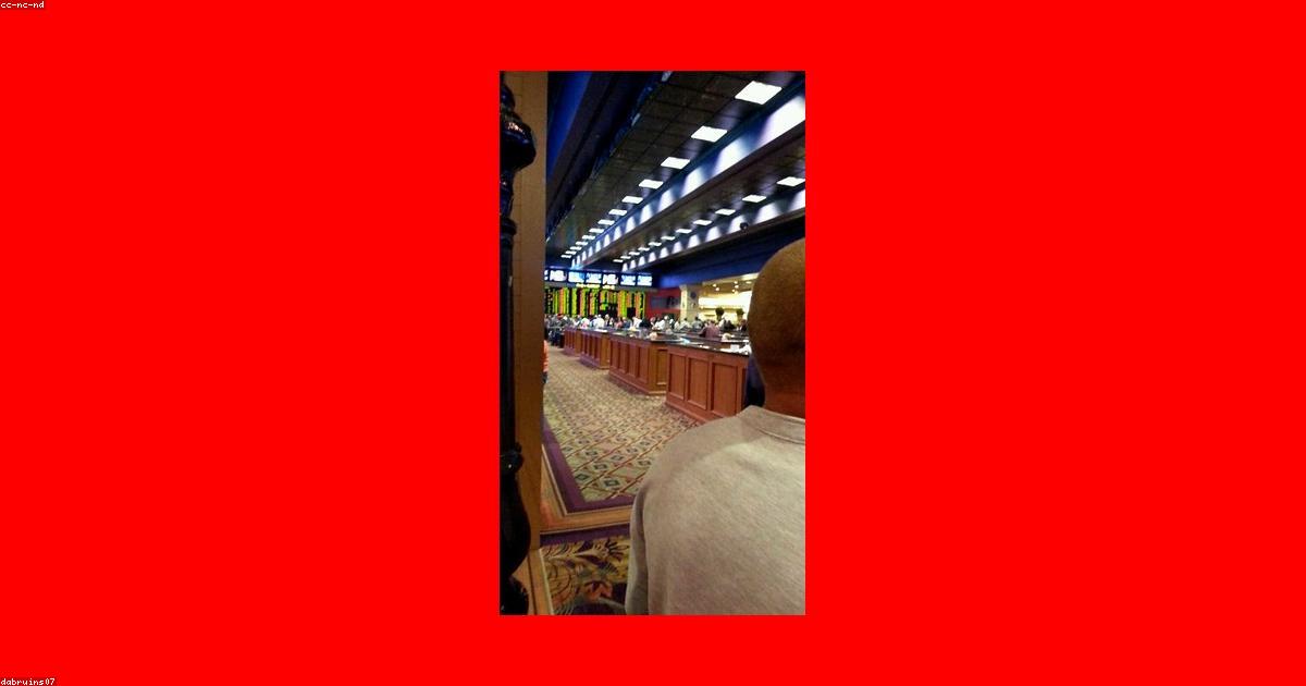 Dhoni88 sportsbook interface